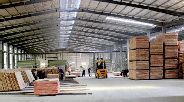 Hot Sale Poplar Wood Structural Lvl Concrete Plank Plywood